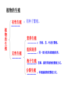 第二节昆虫的生殖和发育