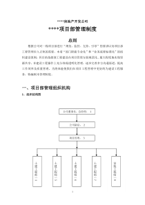 旧村改造,代建项目管理制度