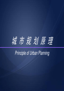 第十三章城市规划的行政与法制19