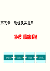 第4节眼睛和眼镜人教版八年级物理上册精品教学课件