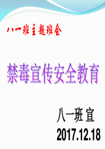 禁毒教育主题班会《禁毒宣传》ppt课件03