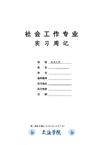 社会工作专业实习周记模板5篇