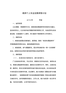 教师个人专业发展研修计划