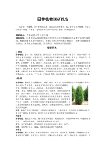 园林植物实习报告