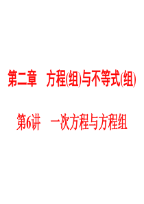 2015中考数学全景透视+九年级一轮复习课件+第06讲+一次方程与方程组(共95张PPT)(共95张