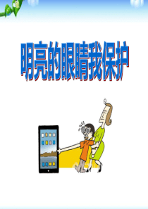 《明亮的眼睛我保护》PPT