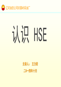 认识HSE