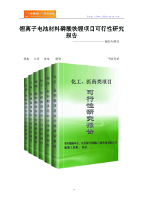 锂离子电池材料磷酸铁锂项目可行性研究报告(编制与解读)