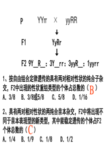 自由组合定律第二课时习题课