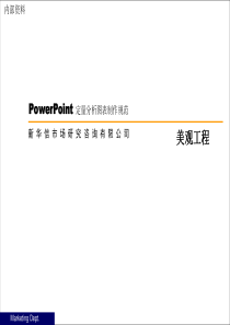 PPT素材库 新华信定量图表规范