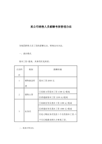 某公司销售人员薪酬考核管理办法(doc 6)