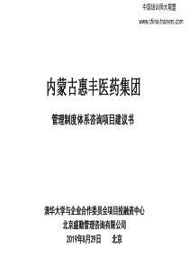 某医药集团管理制度体系咨询项目建议书