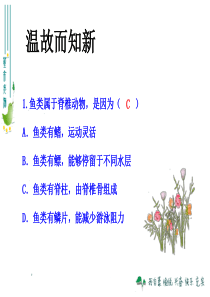 E-第五节、两栖动物和爬行动物课件