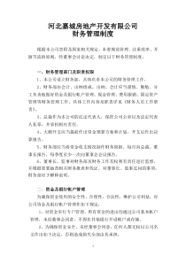 某房产项目公司的财务管理制度