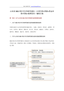 山东省XXX项目可行性研究报告(立项可研+贷款+资金申请+用地+案例范本)编制方案