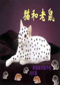 《猫和老鼠》(语文S版一年级下册课件)