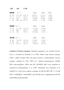 类囊体膜的提取