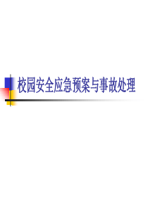 校园安全应急预案与事故处理