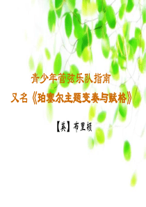 青少年管弦乐队指南课件人教版初中音乐教学资源