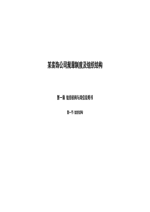 某装饰公司规章制度及组织结构