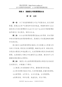 某集团公司预算管理办法