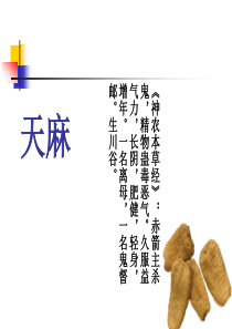 天麻・ppt