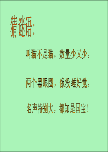 人教版小学音乐一年级上册55快乐的小熊猫PPT课件2人教版音乐教学资源