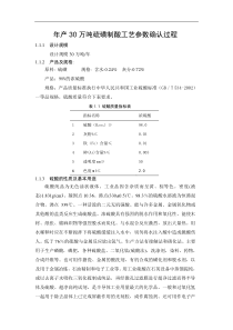 年产30万吨硫磺制酸工艺参数确认过程