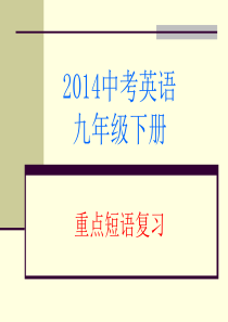 新目标英语九年级下册11-15单元短语复习