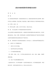 武汉市政府投资项目管理办法试行doc13