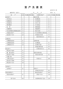 民办非企业资产负债表