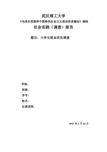 毛概社会实践调查报告7