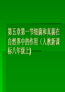 八年级上册人教版生物细菌和真菌在自然界中的作用PPT课件