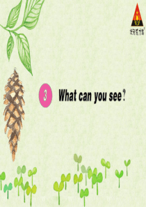 3Whatcanyousee湘少版四年级下册英语资源