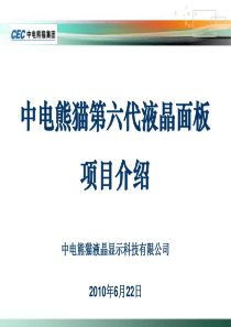 中电熊猫第六代液晶面板项目介绍