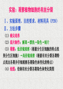 观察动植物细胞有丝分裂实验