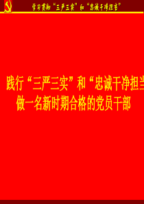 践行“三严三实”和“忠诚干净担当” 做一名新时期合格的党员干部