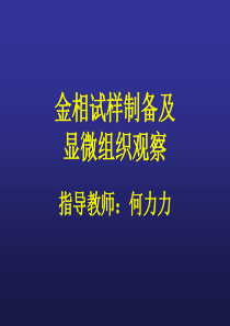 金相试样制备及显微组织观察