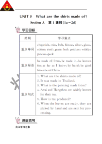 第一课时教案第1课时初中英语人教版九年级下册教学资源2