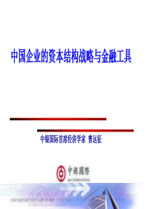 中国企业的资本结构战略与金融工具-中银国际曹远征