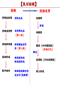 3.2体外受精和早期胚胎培养