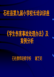 《学生伤害事故处理办法》及案例分析