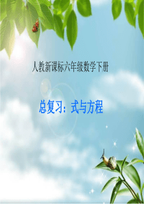 六年级数学下册《总复习：式与方程》PPT课件(人教新课标)