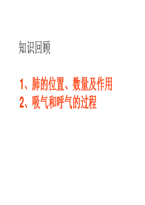 发生在肺内的气体交换第二课时