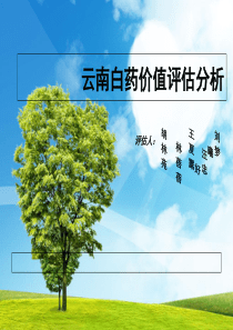 云南白药价值评估分析