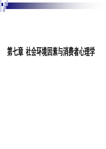 第九讲-社会环境因素与消费者心理学资料