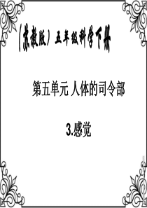 苏教版小学科学五年级下册《感觉》课件