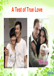 新概念大学英语B2U4 a test of true love