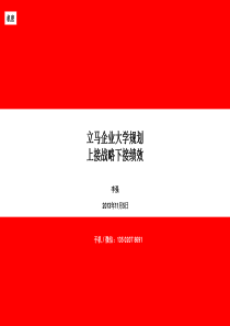 立马企业大学规划