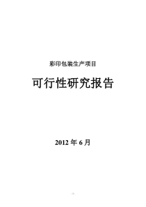 彩印包装生产项目可行性研究报告